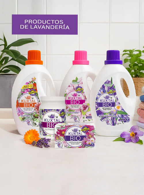 LAVANDERIA_MOBILE_2c2f8f89-94c0-4bd6-9da7-cf5b096eb9ca.jpg