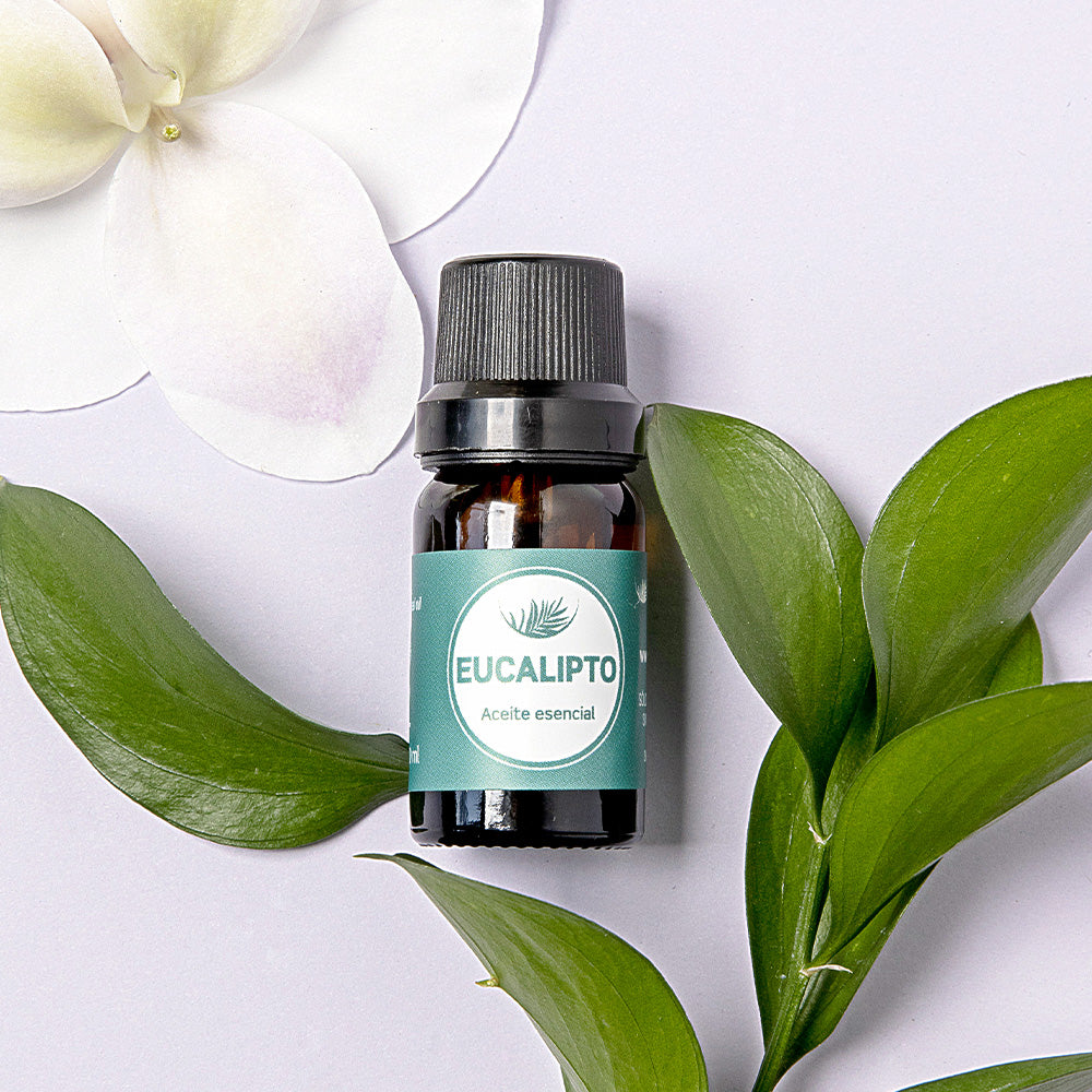 Aceite esencial eucalipto