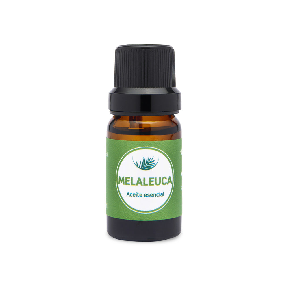 Aceite esencial melaleuca