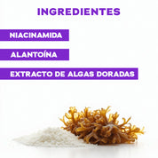 Sérum Pure + Niacinamida
