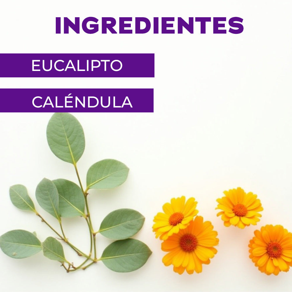 Bio Detergente Líquido para Ropa Eucalipto 2 L.