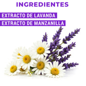 Bio Limpiador de Pisos 10 L.