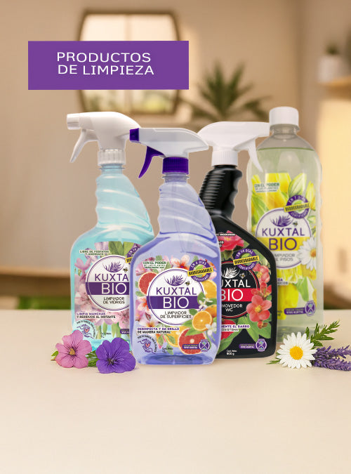 LIMPIADORES_MOBILE_dfee5b51-5886-42fc-b50a-c1e6308e983c.jpg