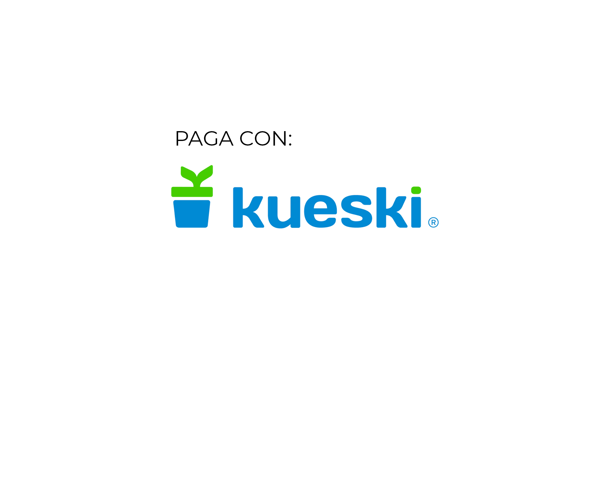 kueski_3fa9379f-3b42-4456-97d8-89baea6a0b82.png