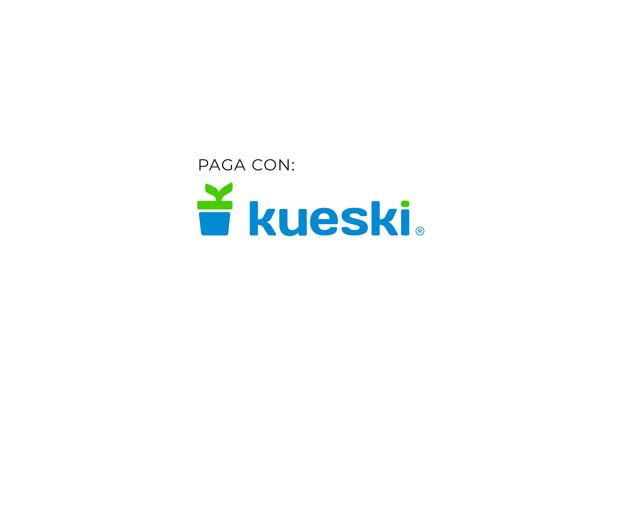 kueski_movil_12e658b9-9ecb-44f7-b7f9-f19e5e20794f.png