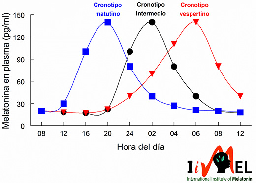 ¿Cuál es tu cronotipo?