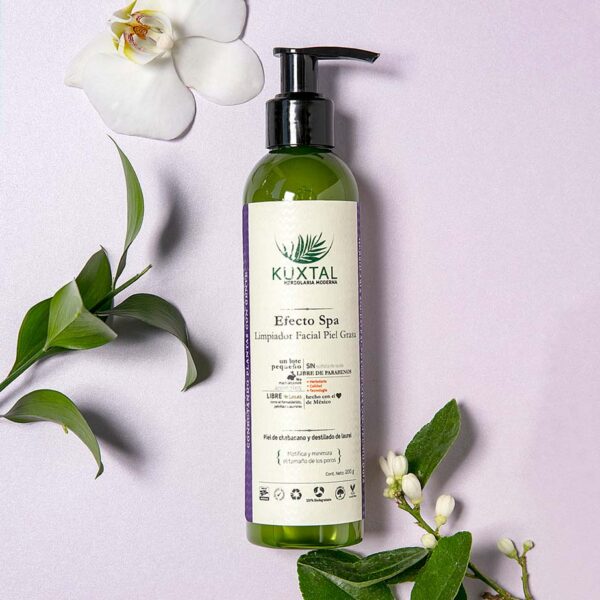 Limpiador facial piel grasa - Kuxtal