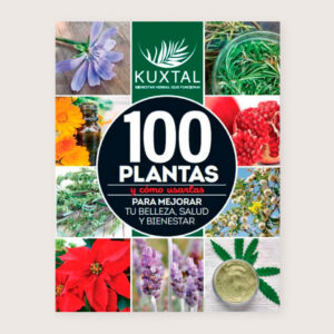 Bookazine KUXTAL