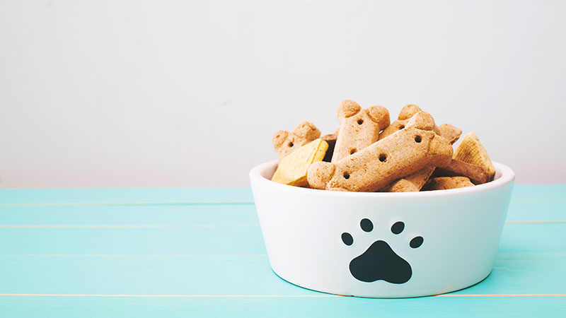 ¿Cómo guardas la comida de tu mascota?